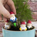 Mini Garden Gnomes for Plant Pots by Gift Republic at Perpetual Kid