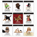 Daily Doggo Desktop Mood Flipchart