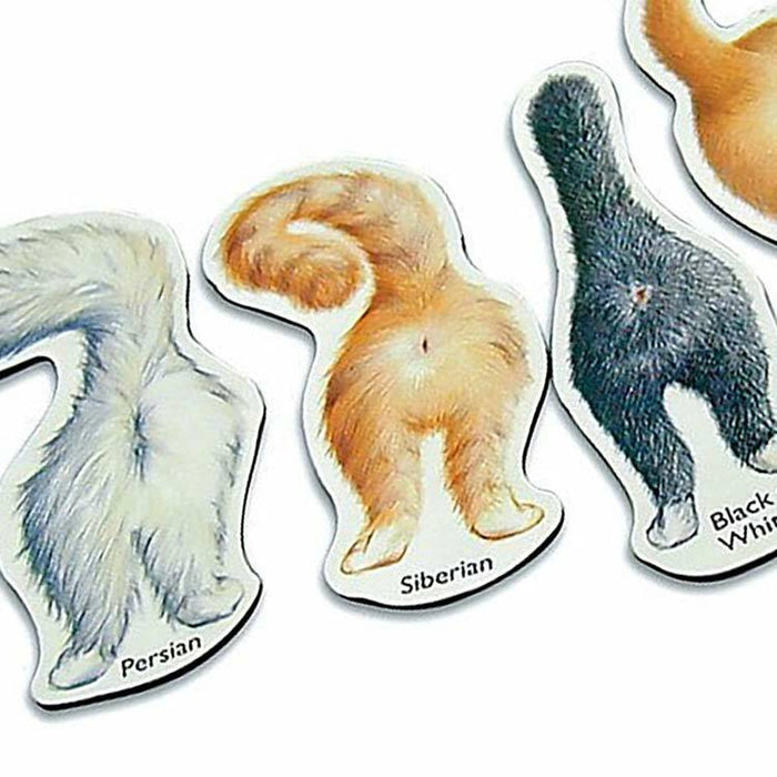 Cat Butts Magnetic Mini Kit - Unique Gift by Running Press
