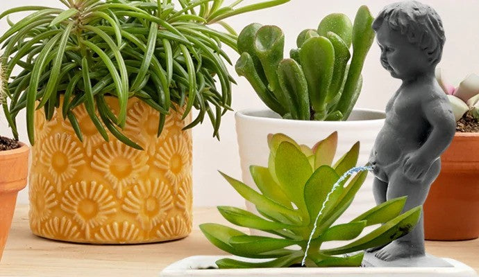 Find fun and unique gifts for plant lovers, gardeners and homegoods