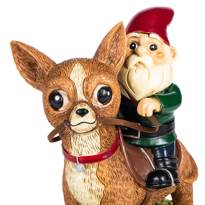Funny Chihuahua Garden Gnome
