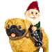 Funny Pug Garden Gnome