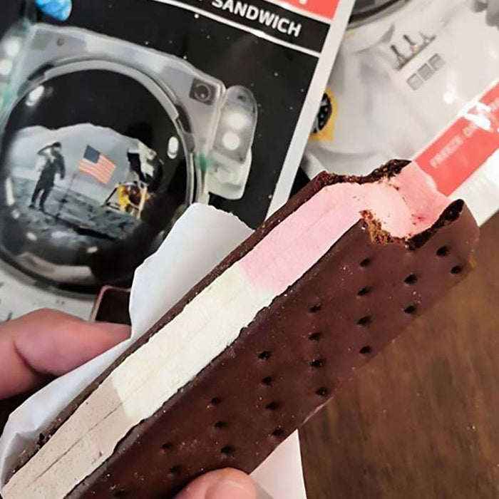 Astronaut Neapolitan Ice Cream Sandwich - American Outdoor Products
