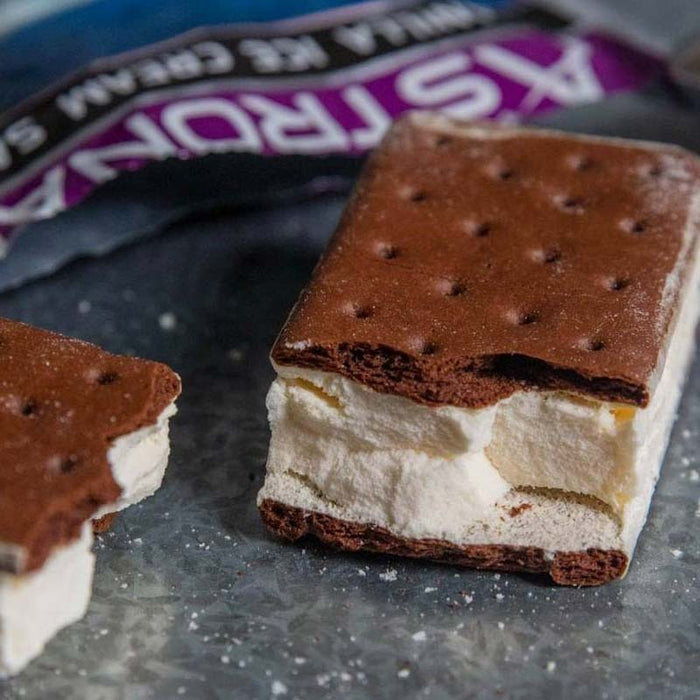 Astronaut Vanilla Ice Cream Sandwich - American Outdoor Products