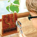 Build A Plant Maze - Grow A Bean Maze Science Kit  - DIY Toy