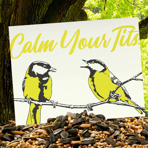 Calm Your Tits Greeting Card - Perpetual Kid