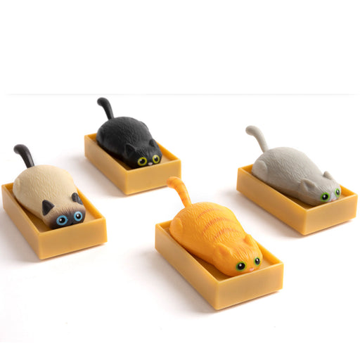 Racing Cat In Box Pull-Back Racer Toy - Perpetual Kid