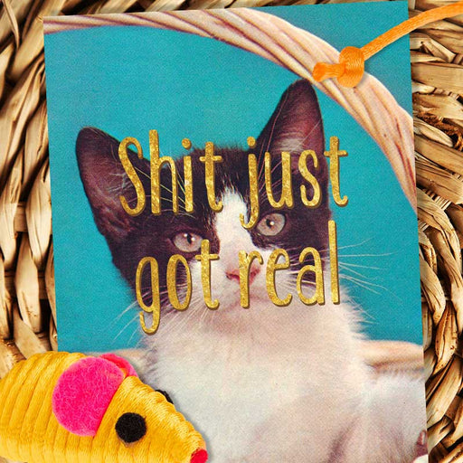 Shit Just Got Real Kitten Friendship Card - Smitten Kitten