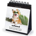 Daily Doggo Desktop Mood Flipchart - Fred