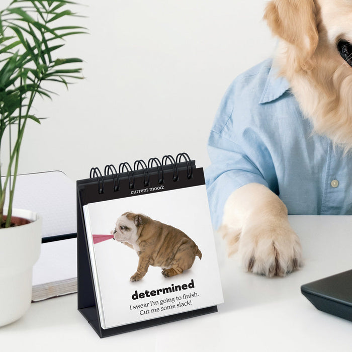 Daily Doggo Desktop Mood Flipchart