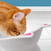 Elevated Kitty Cat Food Bowl by Kwirkworks