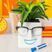 30 Watt - Face Plant Planter + Eyeglass Holder