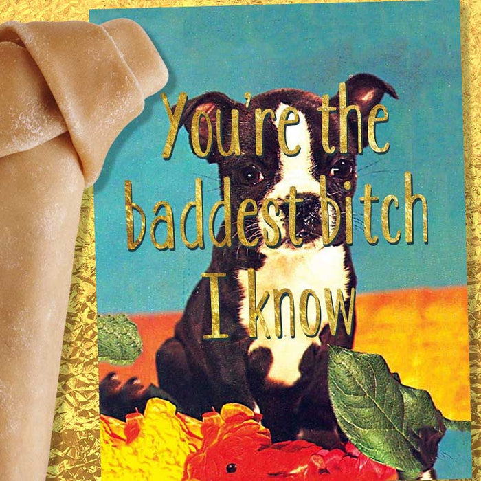 You're The Baddest Bitch I Know Friendship Card - Smitten Kitten