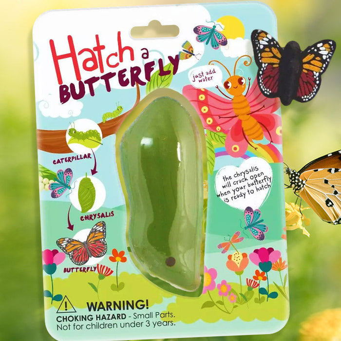 Hatch A Butterfly Toy - Boxer Gifts