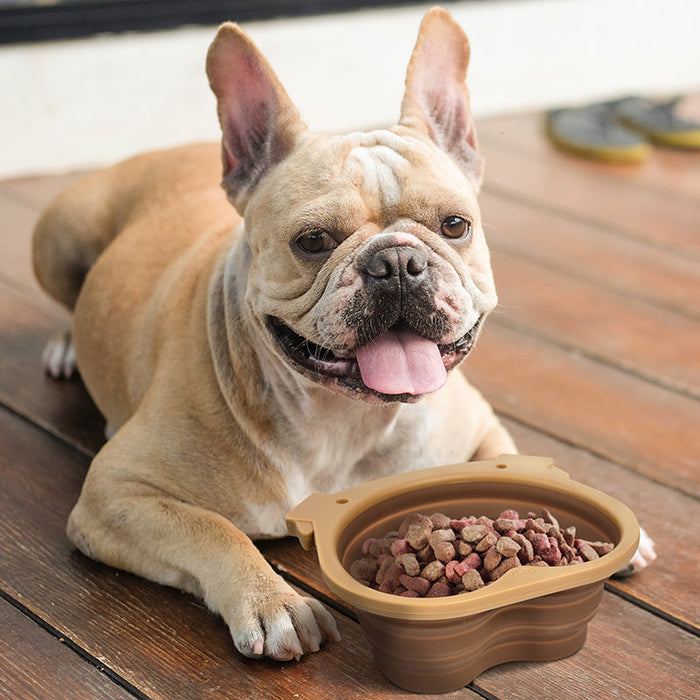 Collapsible Dog Bowl - Fred & Friends