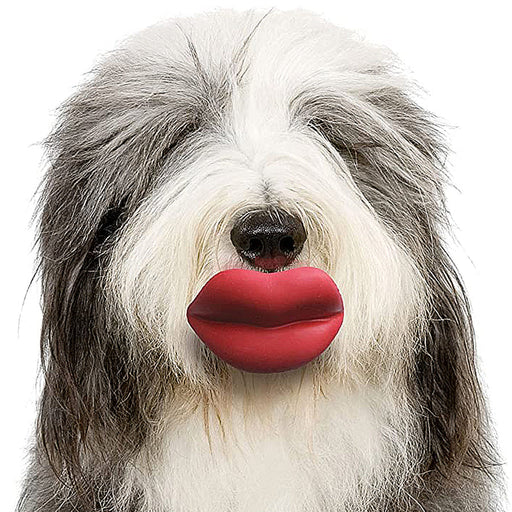 Humunga Lips Dog Fetch Toy - Moody Dog