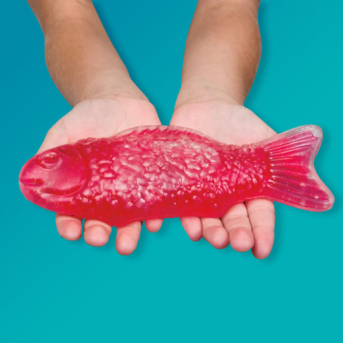 Jumbo Sweet-Ish Fish Squeeze Toy