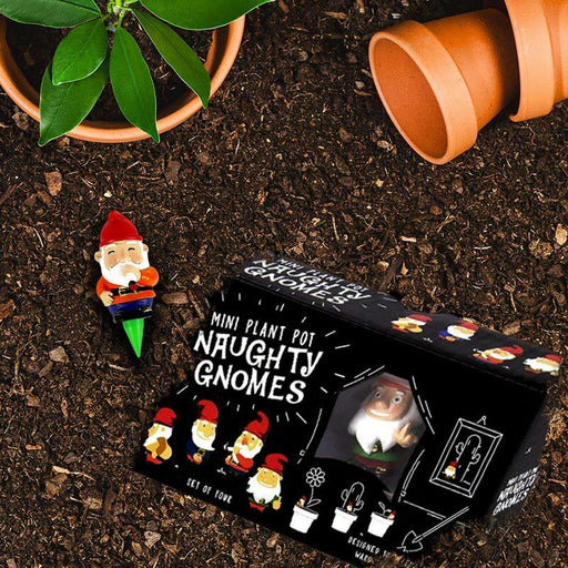 Naughty Mini Garden Gnomes for Plant Pots - Gift Republic