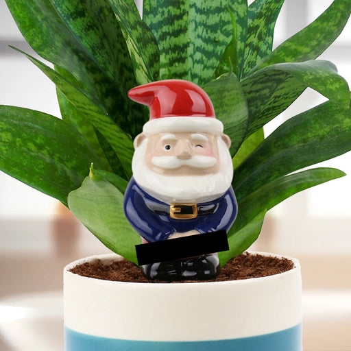 Peeing Gnome - Self Watering Planter - Gift Republic