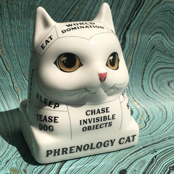 Phrenology Cat - Read Your Cat's Mind! - Running Press