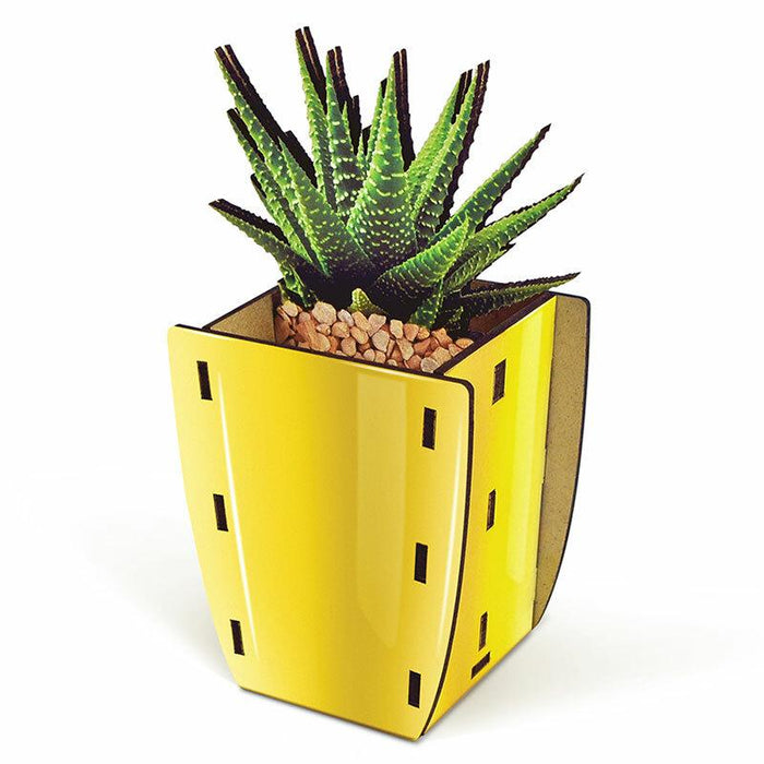 Aloe Pop Plants Desk Caddy by Fred & Friends