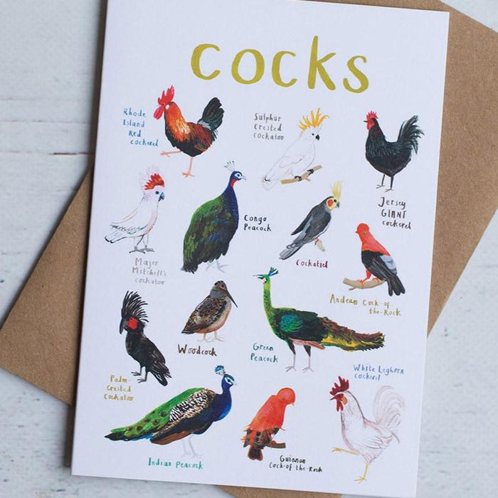 Cocks Dirty Bird Pun Greeting Card - Sarah Edmonds Illustration
