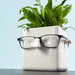 Face Plant Planter + Eyeglass Holder by 30 Watt