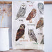 Hooters Dirty Pun Owl Dish Towel by Sarah Edmonds Illustration