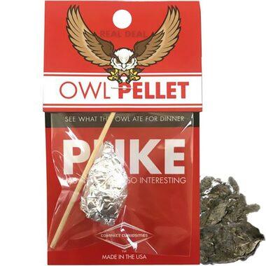 Owl Puke Pellet - See What They Had For Dinner by Copernicus Toys