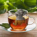 Slow Brew Sloth Tea Infuser - Fred & Friends