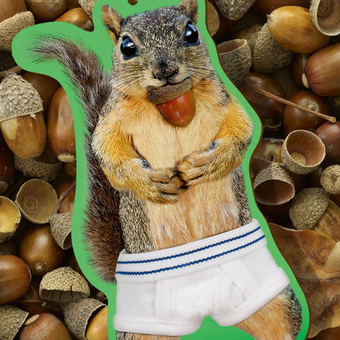 Squirrel In Underpants Air Freshener - Archie McPhee