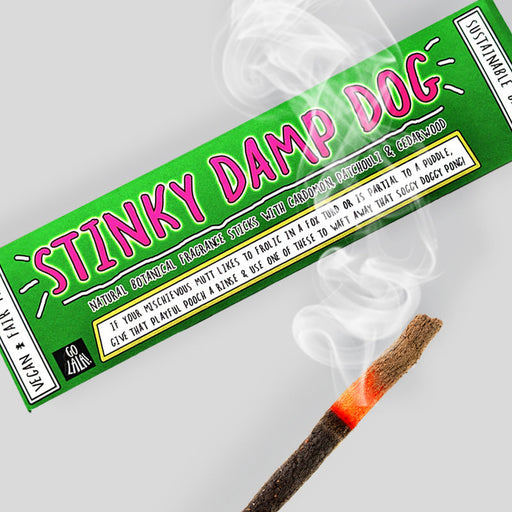 Stinky Damp Dog Funny Smells Incense Sticks