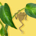 Tree Frog Plant Ornament - Another Studio for Design Ltd