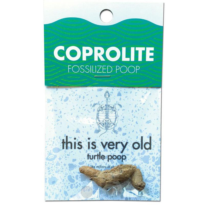 Turtely Awesome Turtle Poop - Copernicus Toys