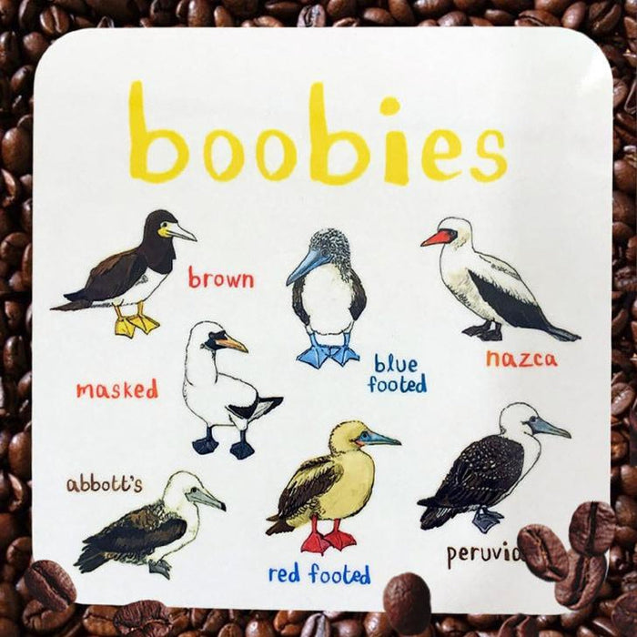 Boobies Fowl Bird Coaster - Unique Gift by Sarah Edmonds Illustration