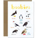 Boobies Fowl Bird Greeting Card - Unique Gift by Sarah Edmonds Illustration