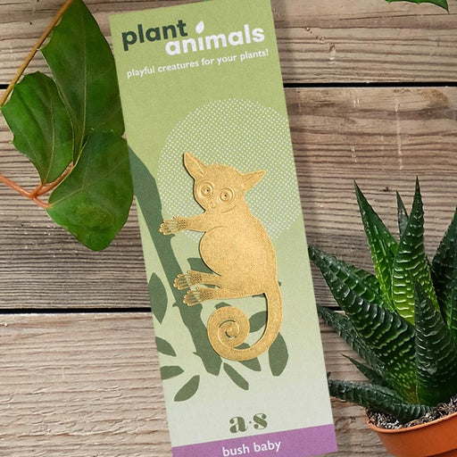 Bush Baby Plant Ornament - Unique Gift by Another Studio for Design Ltd