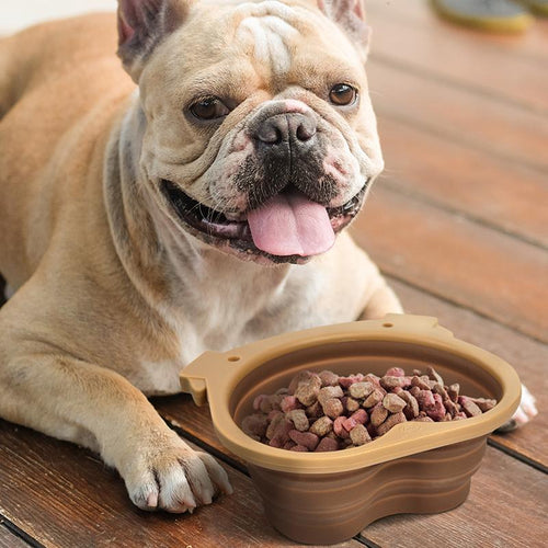 https://www.perpetualkid.com/cdn/shop/products/unique-gift-collapsible-dog-bowl-2_500x.jpg?v=1700244721