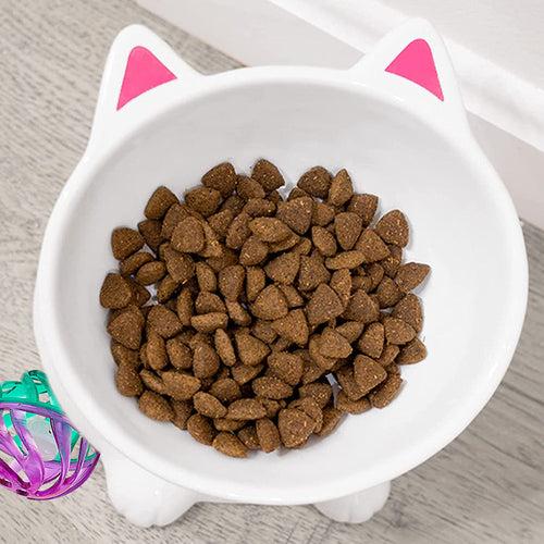 Elevated Kitty Cat Food Bowl - Unique Gifts - Kwirkworks — Perpetual Kid