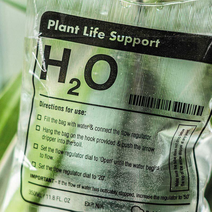 IV Plant Life Support Drip - Unique Gift by Bubblegum Stuff