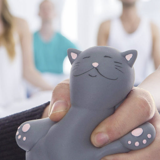 Kalma Kitty Stress Toy - Unique Gift by Boxer Gifts