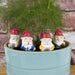 Mini Garden Gnomes for Plant Pots - Unique Gift by Gift Republic