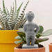 Pee My Plants Garden Sculpture - Unique Gift by NPW