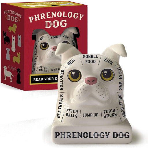 Phrenology Dog Bust- Read Your Dog's Mind! - Unique Gift by Running Press