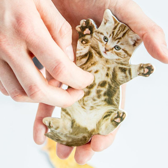 Purrfect Nails Cat Belly Nail File - Unique Gift by SuckUK