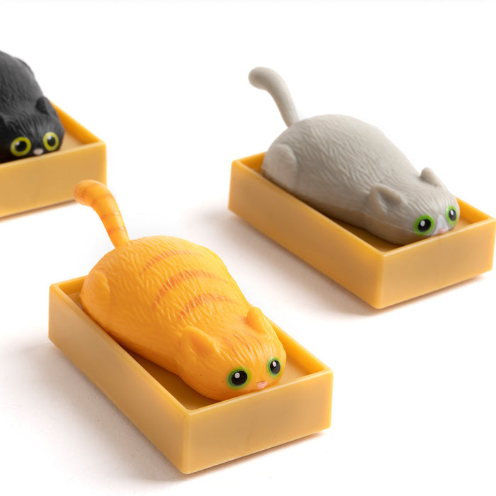 Racing Cat In Box Pull-Back Racer Toy - Unique Gift by Archie McPhee