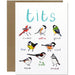 Tit Bird Fowl Greeting Card - Unique Gift by Sarah Edmonds Illustration