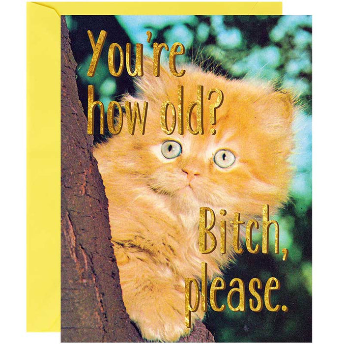You're How Old? Bitch Please Birthday Card - Unique Gift by Smitten Kitten