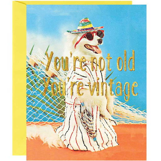 You're Not Old You're Vintage Birthday Card - Unique Gift by Smitten Kitten