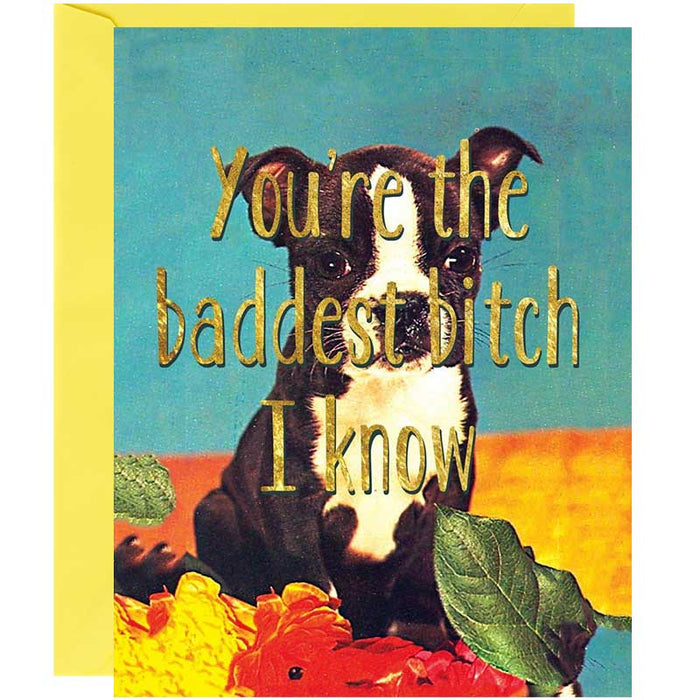 You're The Baddest Bitch I Know Friendship Card - Unique Gift by Smitten Kitten